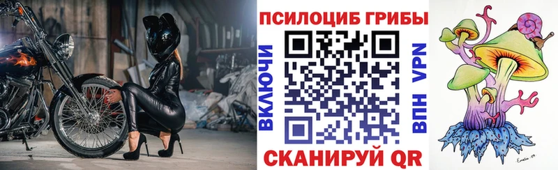 shop какой сайт Заводоуковск Псилоцибиновые грибы Cubensis