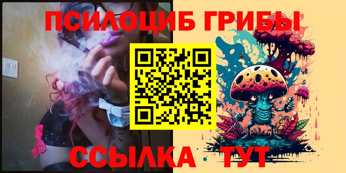 Галлюциногенные грибы Заводоуковск