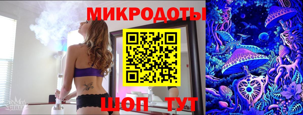 Псилоцибиновые грибы Psilocybine cubensis  Заводоуковск 