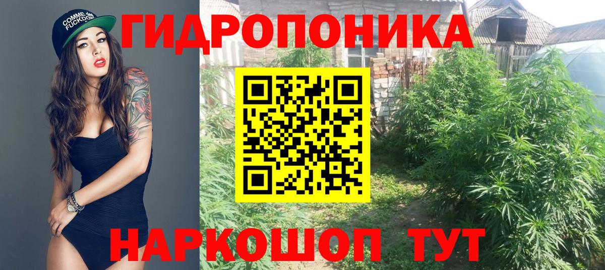 Каннабис THC 21% Заводоуковск